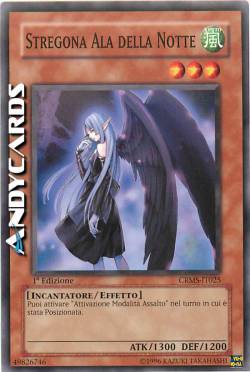 STREGONA ALA DELLA NOTTE