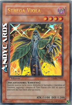 STREGA VIOLA