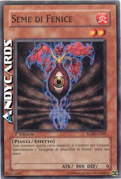 SEME DI FENICE