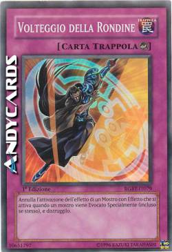 VOLTEGGIO DELLA RONDINE