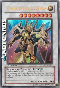 GUERRIERO DELLA STRADA