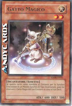 GATTO MAGICO