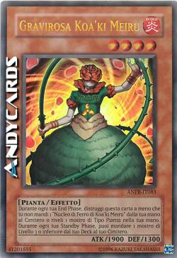 GRAVIROSA KOA'KI MEIRU