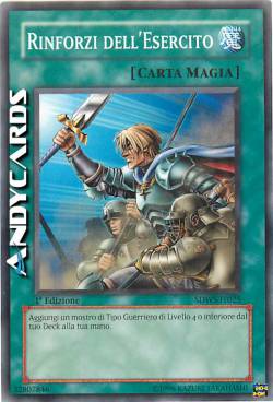 RINFORZI DELL'ESERCITO