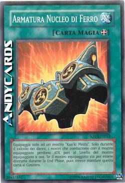 ARMATURA NUCLEO DI FERRO