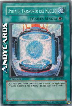 UNITÀ DI TRASPORTO DEL NUCLEO