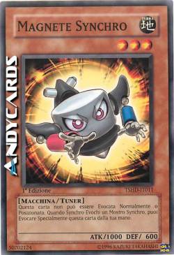 MAGNETE SYNCHRO