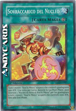 SOVRACCARICO DEL NUCLEO