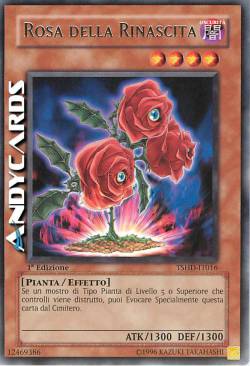 ROSA DELLA RINASCITA