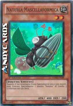 NATURIA MASCELLAFORMICA