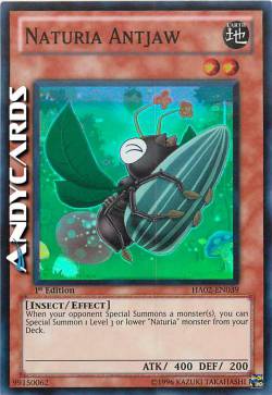 NATURIA MASCELLAFORMICA