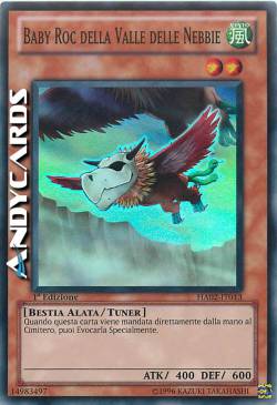 BABY ROC DELLA VALLE DELLE NEBBIE