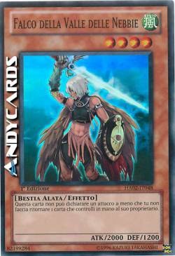 FALCO DELLA VALLE DELLE NEBBIE