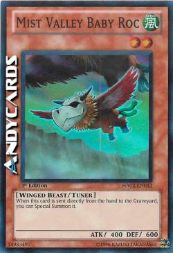 BABY ROC DELLA VALLE DELLE NEBBIE