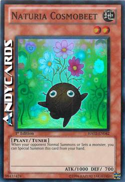 NATURIA BARBABIETOLACOSMICA