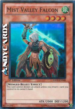 FALCO DELLA VALLE DELLE NEBBIE