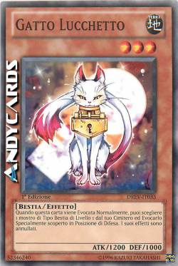 GATTO LUCCHETTO
