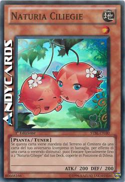 NATURIA CILIEGIE