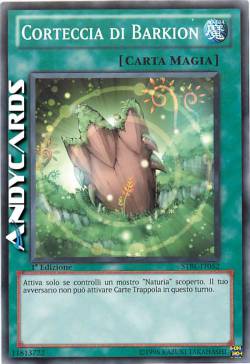 CORTECCIA DI BARKION