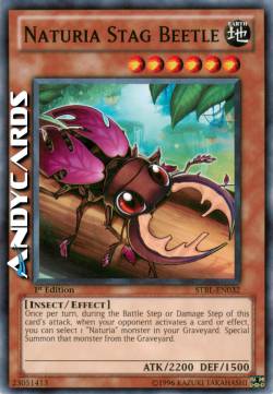 NATURIA CERVO VOLANTE