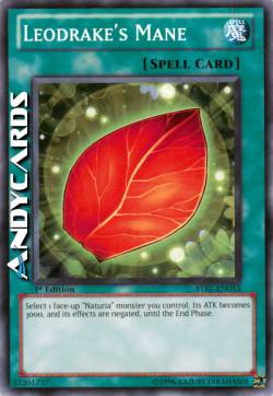 CRINIERA DI LEODRAGO