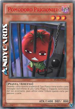 POMODORO PRIGIONIERO