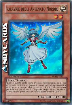 VALKYRIE DEGLI ANTENATI NORDIC