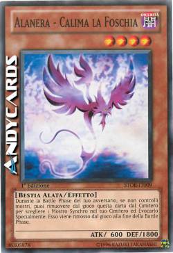 ALANERA - CALIMA LA FOSCHIA