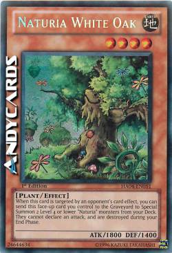 NATURIA QUERCIA BIANCA