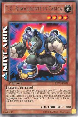 T.G. RINOCERONTE IN CARICA