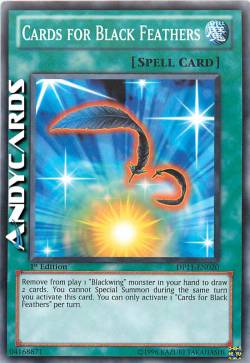 CARTE IN CAMBIO DI PIUME NERE