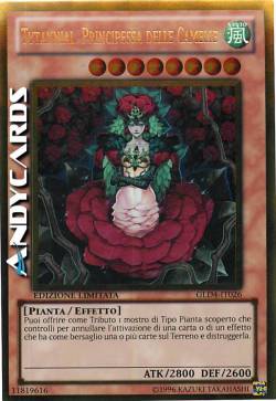 TYTANNIAL, PRINCIPESSA DELLE CAMELIE