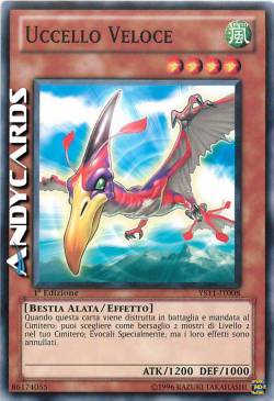 UCCELLO VELOCE