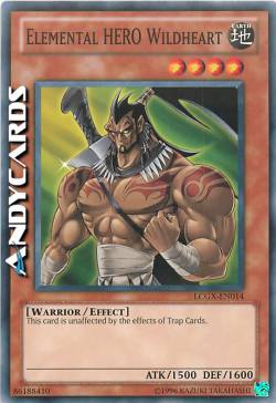 WILDHEART EROE ELEMENTALE