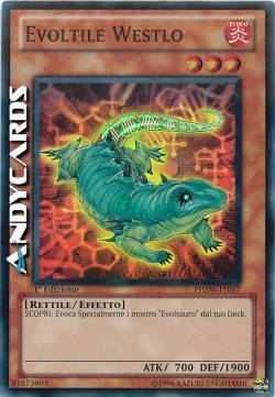 EVOLTILE WESTLO
