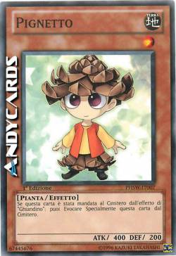 PIGNETTO