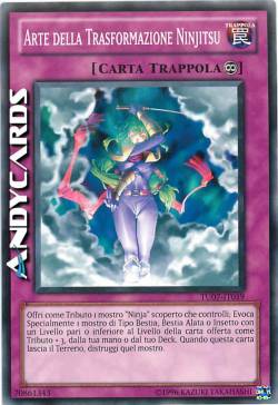 NINJITSU ART OF TRANSFORMATION