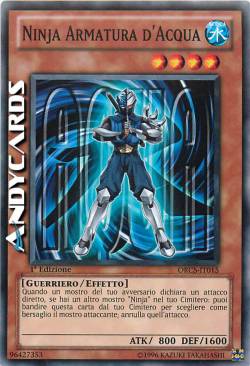 NINJA ARMATURA D'ACQUA