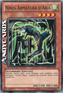 NINJA ARMATURA D'ARIA