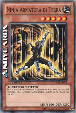 NINJA ARMATURA DI TERRA
