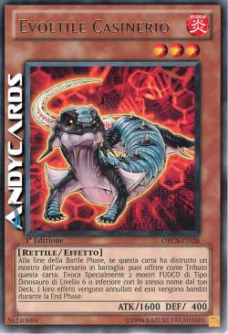 EVOLTILE CASINERIO