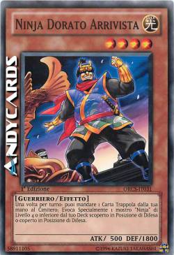 NINJA DORATO ARRIVISTA