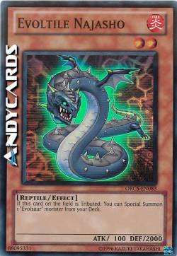 EVOLTILE NAJASHO