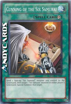 ASTUZIA DEI SEI SAMURAI