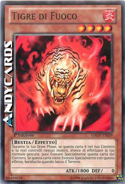 TIGRE DI FUOCO