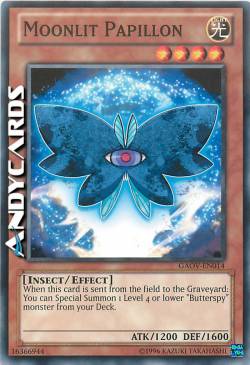 FARFALLONE ILLUMINATO DALLA LUNA