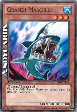 GRANDI MASCELLE