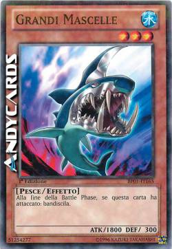 GRANDI MASCELLE