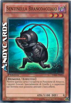 SENTINELLA BRANCOACCIAIO