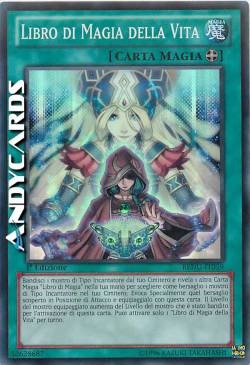 LIBRO DI MAGIA DELLA VITA